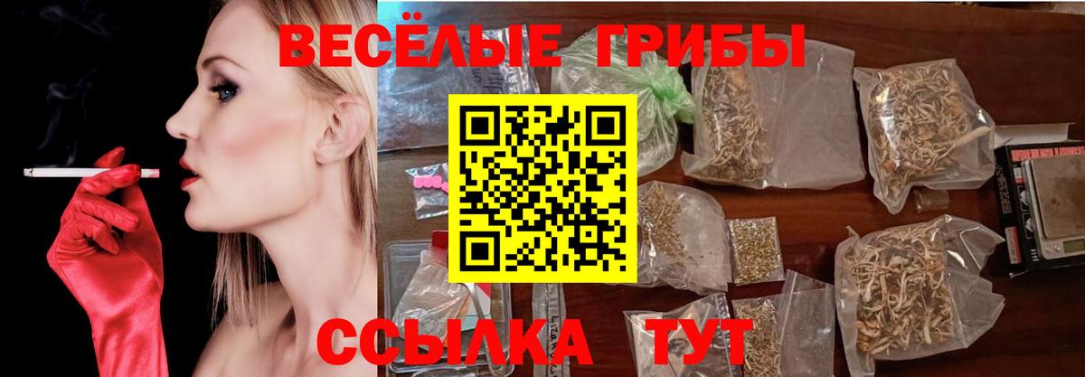 Псилоцибиновые грибы прущие грибы Шахты